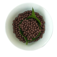 Bille en céramique à infrarouge lointain pour les systèmes de filtration d'eau avec composants de base PLC Marque Longxin 100L/heure Garantie 1 an