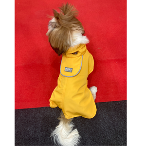 Imperméables pour chien jaune, style sport XL, motif animal, veste de pluie, vêtements et accessoires pour grands chiens, 2025 - Product Image 4