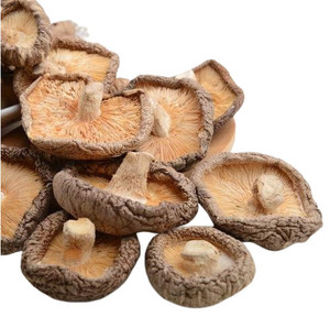 Seta de Shiitake seca de alta calidad, tallo de pierna, seta Shiitake - Product Image 6