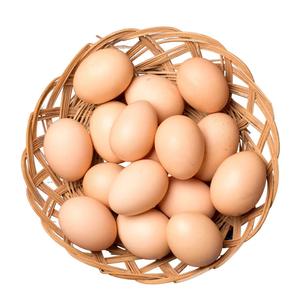 Œufs de poule à coquille blanche frais de la ferme certifiés HALAL de qualité supérieure, propres et de qualité export, jaune conservé et congelé en provenance d'Inde - Product Image 2