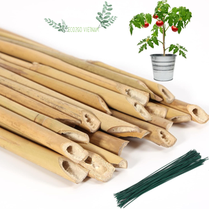 Bâton de bambou durable solide et naturel du Vietnam 100% pour jardin/plante de support de bâton de bambou pour une utilisation à l'agriculture - Product Image 3