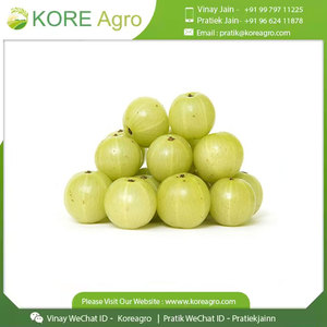 Produit sain et biologique de qualité alimentaire Meilleure qualité Amla naturel à prix compétitif de l'exportateur indien - Product Image 6