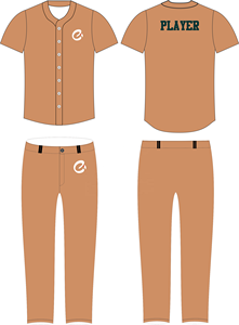 Uniforme de béisbol hecho en Pakistán Ropa deportiva Uniforme de béisbol para adultos Uniforme de béisbol de gran venta - Product Image 5