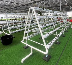 Système de culture hydroponique NFT commercial pour serres agricoles, culture de laitues, herbes et légumes en agriculture sans sol - Product Image 5