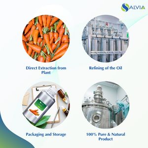 Huile de carotte 100% pur et naturel en gros en vrac prix le plus bas emballage personnalisé - Product Image 4
