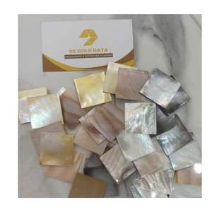 Vente en gros de puces en nacre naturelle pour l'artisanat d'art de bijoux - Product Image 6