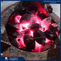 Briquettes de bois dur de qualité supérieure pour barbecue, allumage rapide, combustion longue durée (3h+), sans poussière ni suie, charbon noir 5-6cm, 7% de cendres