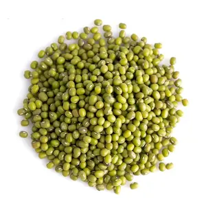 High Quality Green Mung Beans For Sprouts | 100% Vigna Beans