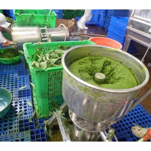 Fournisseur du Vietnam Feuilles de manioc congelées Meilleur prix pour l'exportation en gros - Product Image 4