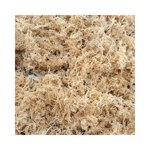 Cottonii Seaweed-Vente en gros de produits d'algues Cottonii-Cottonii Seaweed High Exports Standard from Vietnam 2025 - Product Image 3