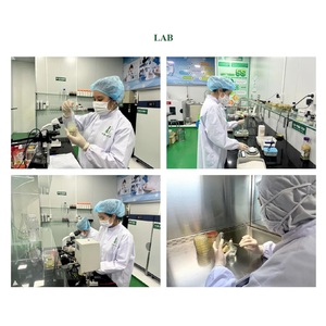 Nido de pájaro saludable sin azúcar Bebida lista para comer Nido de pájaro estofado Caja de regalo 6 tarros/caja Apropiada para la edad para niños - Product Image 5