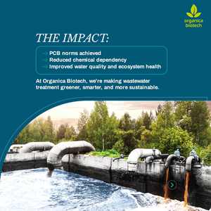 Traitement des eaux usées Mbbr - Product Image 5