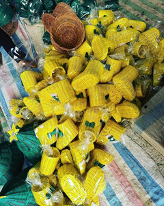 El precio más barato, venta al por mayor, adornos de ratán, colección de vacaciones para compradores globales, adornos de ratán hechos por artesanos calificados de Vietnam - Product Image 4