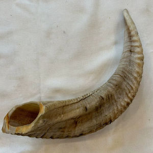 Vrais cornes de mouton naturelles polies pour la décoration et l'artisanat, de haute qualité - Product Image 1