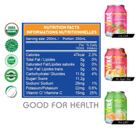 Gratis Monster-250Ml Kan 100% Vruchtensap Drinken: Mango, Sinaasappel, Lychee-Groothandel Frisdrank-Private Label Oem