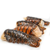 Fournisseur en gros de homards bleus entiers congelés d'eau douce, transformés BQF, emballés sous vide, 10 kg/carton, Thaïlande, 1,2 cm, pour sushi