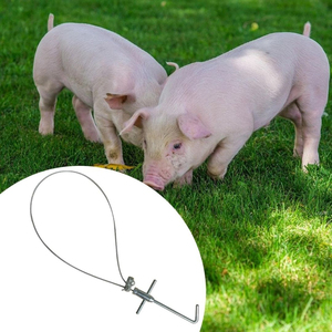 Veterinary Approved 18 Inch Pig Snare Heavy Duty Hog Catcher for Safe Livestock Restraint and <b>Farm</b> Use Safe Handling Hog catcher - Product Image 4