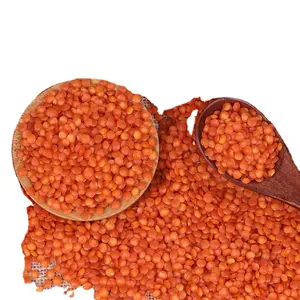 Best Quality Green Lentils | Red Lentils | Brown Lentils