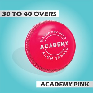 Bolas de cuero de grillo rosa de primera calidad, paquete de 6 pelotas de Academia hechas de cuero curtido de aluminio según los estándares internacionales - Product Image 6