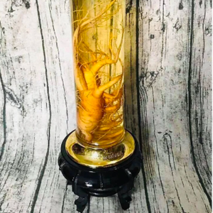 Bouteille en plastique plaqué de 1,9 l PET pour vin médicinal couleur personnalisée, Immersion vin médicinal Vietnam dans le fabricant - Product Image 2