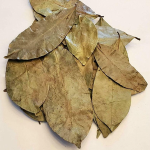 Premium Dried Soursop Graviola Leaves Annona Muricata Whole Leaves for <b>Tea</b> Sachet Loose Leaf Use - Product Image 6