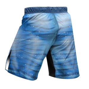 Pantalones Cortos de Alta Calidad para Artes Marciales Mixtas (MMA), Kickboxing, para Hombre, Sublimados, Ropa de Lucha Bjj, Muay Thai, MMA - Product Image 6