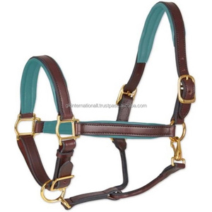 Caballo de cuero negro y marrón hecho a mano, hecho a medida, de alta calidad, con cuello halter, en todas las tallas cob, con hardware de latón ajustable - Product Image 3