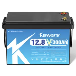 12,8 v 100 ah 200 ah lifepo4 batteriepack 12 v wiederaufladbarer batteriepack lithium-eisen-phosphat lifepo4 solarzelle werkzeuge