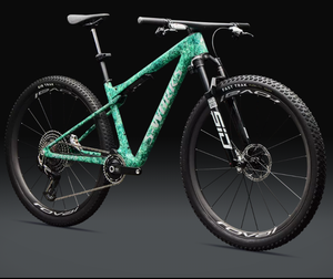 SS WWORKER EPICC-bike - Product Image 1