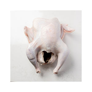 Venta al por mayor de pavo entero congelado y piezas a la venta disponibles - Product Image 1