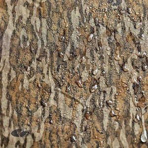 Vestes de chasse pour hommes les plus vendues, respirantes, imperméables, service OEM personnalisé, fabricant de premier plan, camouflage - Product Image 2