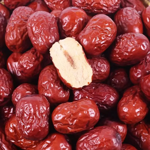 Proveedor de Dátiles Orgánicos a Granel, Dátiles Deshidratados al Sol Sin Semillas - Product Image 4