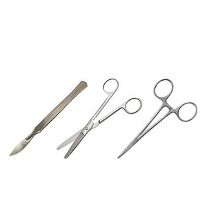 Pinzas de Precisión TC, Portaagujas Microquirúrgico, Juego de Instrumentos Quirúrgicos para Microcirugía, Pinzas 2026 - Product Image 6