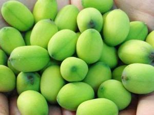 เมล็ดบัวอบแห้งเวียดนาม | ไม่แตก | คุณภาพสูง | พร้อมใช้งาน - Product Image 4