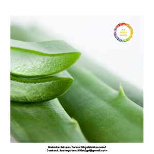 ชิ้นว่านหางจระเข้แช่แข็งสะอาดและอุดมไปด้วยสารอาหารที่เหมาะสำหรับสมูทตี้เครื่องดื่มเพื่อสุขภาพและการใช้ผลิตภัณฑ์ความงาม - Product Image 4