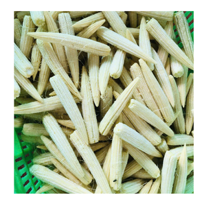 ข้าวโพดฝักอ่อนบรรจุกระป๋องคุณภาพสูงจากเวียดนาม - Product Image 3