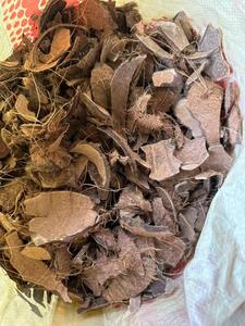 Vỏ dừa nghiền vỏ dừa - Product Image 4