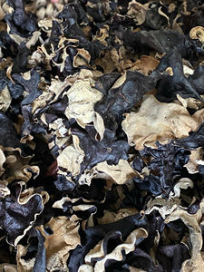 Hongo negro seco de Vietnam con tamaño de oreja uniforme, estructura firme y calidad estable para la compra al por mayor - Product Image 5