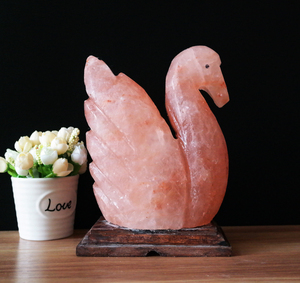 Lampe de sel de roche de l'Himalaya en cristal transparent préféré ou lampe de sel de l'Himaliyan artisanal à vendre - Product Image 6