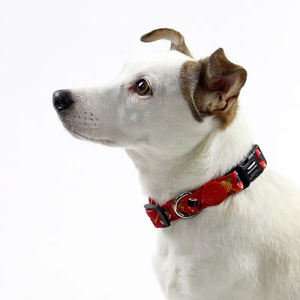 Collier de chien en polyester imprimé de logo personnalisé de la meilleure qualité et laisse de chien en nylon réglable décoration de plumes saine - Product Image 6