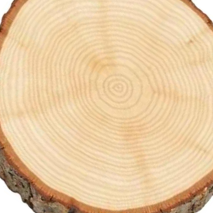 Walnut Dark Free Wood Coaster with Simple Design Handcrafted Personalized <b>Wooden</b> <b>Table</b> <b>Mats</b> & Pads For <b>Table</b> decorations - Product Image 3