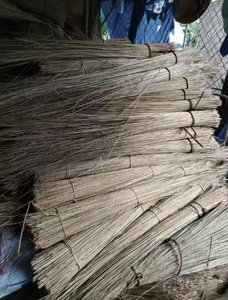 ไม้กวาดใบมะพร้าวแท้จากเวียดนาม: โซลูชันการทำความสะอาดที่มีคุณภาพสูงใช้งานได้ยาวนานและเป็นมิตรกับสิ่งแวดล้อม - Product Image 5