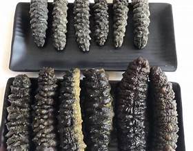 POUDRE DE CONCOMBRE DE MER PURE SUPERALIMENT MARIN NATUREL POUR UN SOUTIEN IMMUNITAIRE ET UNE SANTÉ ARTICULAIRE - Product Image 5