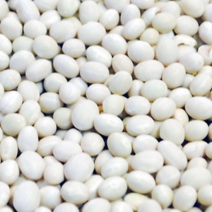 Haricots Blancs Séchés Naturels Riches en Protéines Légumineuses Nutritives Aliment Sain Qualité Exportation Grains pour Vente en Gros et Approvisionnement en Vrac - Product Image 1