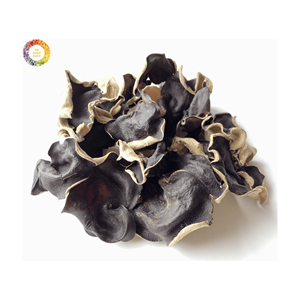 Champignons noirs séchés de haute qualité en gros, champignons comestibles séchés, champignons en forme de nuage, champignons entiers tranchés, champignons naturels - Product Image 1