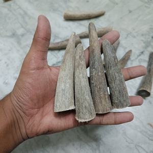 Eco-Friendly Natural Buffalo <b>Cow</b> Horn Tip Raw Pieces for DIY Craft Carving Knife Handles Jewelry Making Traditional Handicraft - Product Image 1