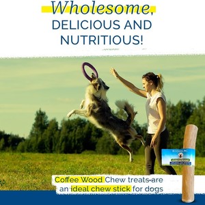 Tienphong 2024 Nouvelles promotions! Friandises à mâcher en bois de café pour chiens-Sûr et durable-Bois de café 100% naturel et durable - Product Image 4