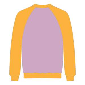 Sweat-shirt à manches raglan en chenille brodée, thème lavande d'hiver, pour sororité grecque Divine 9, vêtements personnalisés, mode avant-gardiste, éducation HBCU - Product Image 3