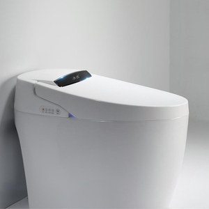 Nuevo Diseño, Inodoro Inteligente de Cerámica con Autolimpieza Automática, Control Remoto, Montaje en Suelo, Gran Venta - Product Image 1