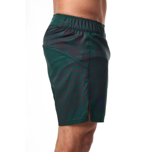 Short double couche Fight MMA Shorts Logos personnalisés Designs Tissu extensible Fabriqué au Pakistan Short MMA - Product Image 4